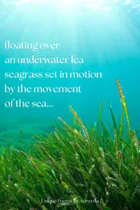 This under the sea poem takes you beneath the surface through the eyes of a diver, snorkeler, or mermaid.