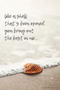This seashell treasure love poem explores the ability love has to transform us.