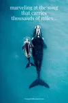 Tradition is upended in this poem about a whale hunt depicting the gruesome and needless slaughter of these majestic marine mammals.