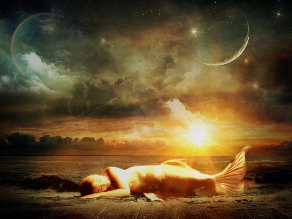 A Sleeping Mermaid Dreams