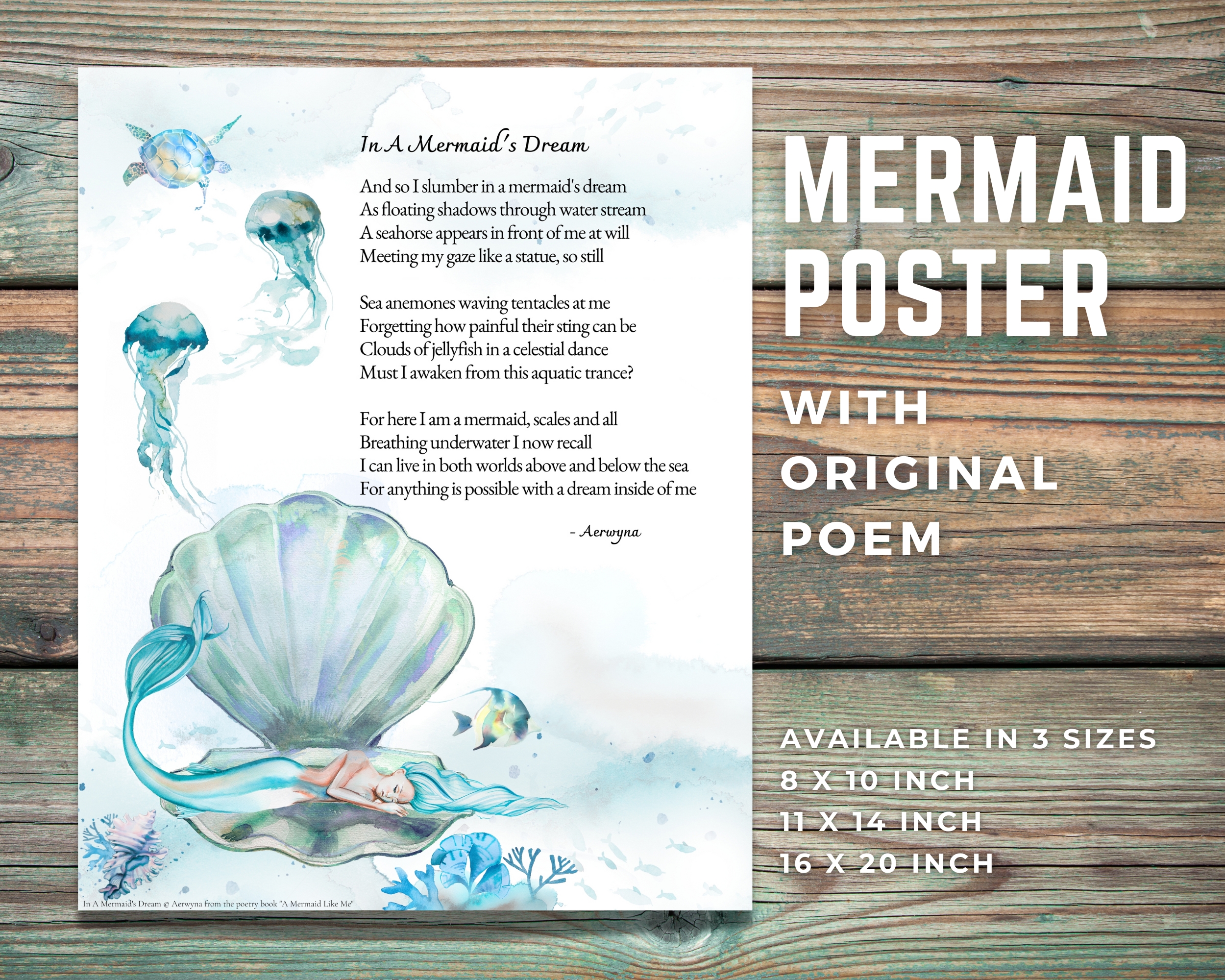 In A Mermaid's Dream Poster