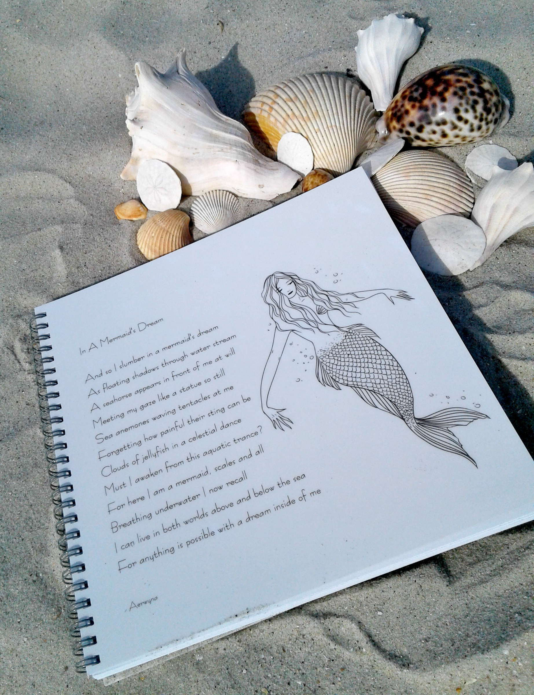 "In A Mermaid's Dream" Notebook