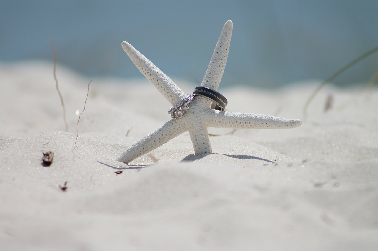 Starfish On The Beach With Wedding Rings