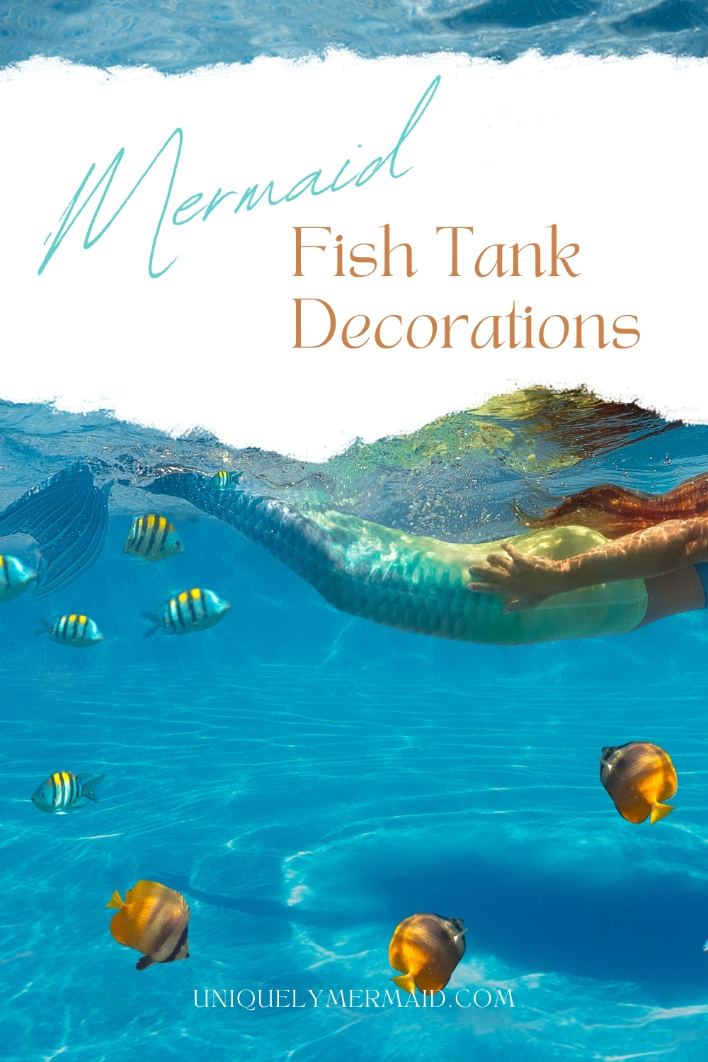 Cute and functional mermaid fish tank decorations in accessory sets and figurines will add flair to your aquarium!