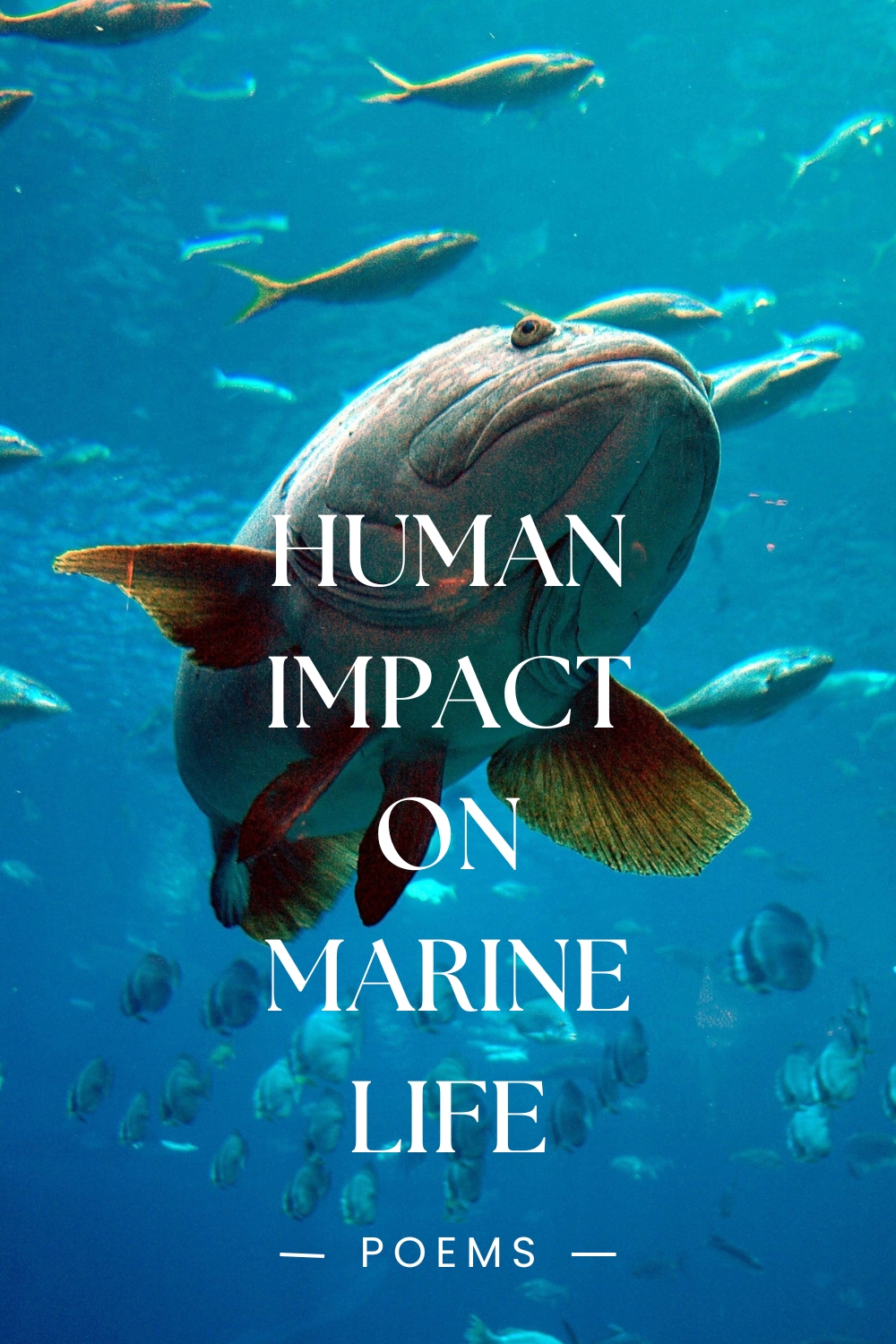 Human Impact On Marine Life Poems