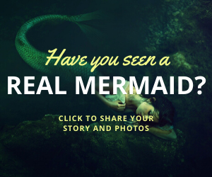 Have you seen a mermaid?