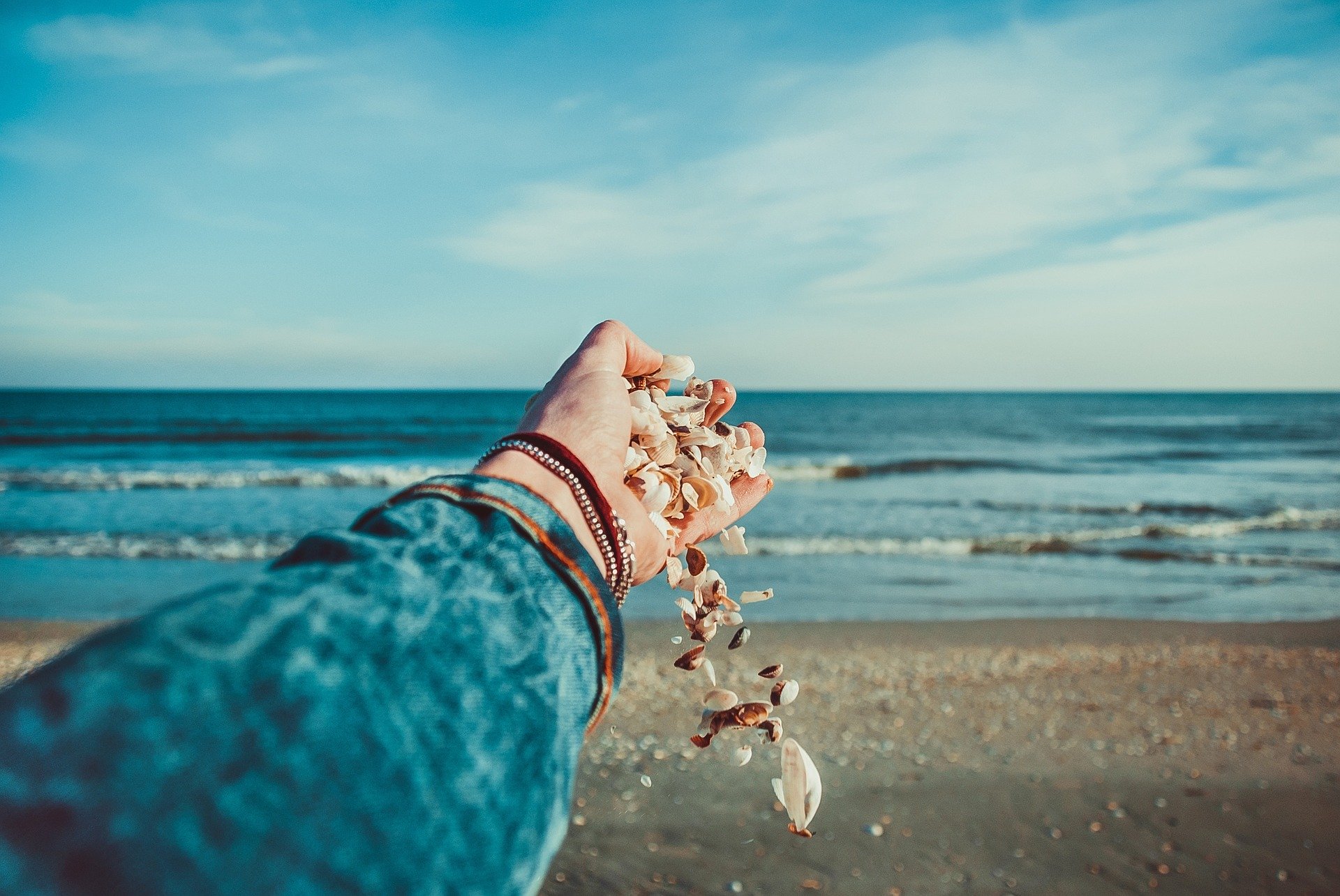 A Handful Of Seashells