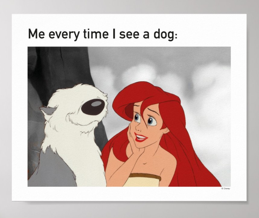 Ariel and Max Meme Poster